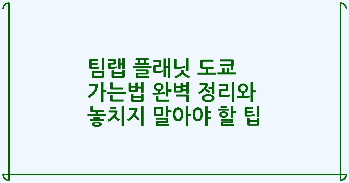 팀랩 플래닛 도쿄 가는법 완벽 정리와 놓치지 말아야 할 팁