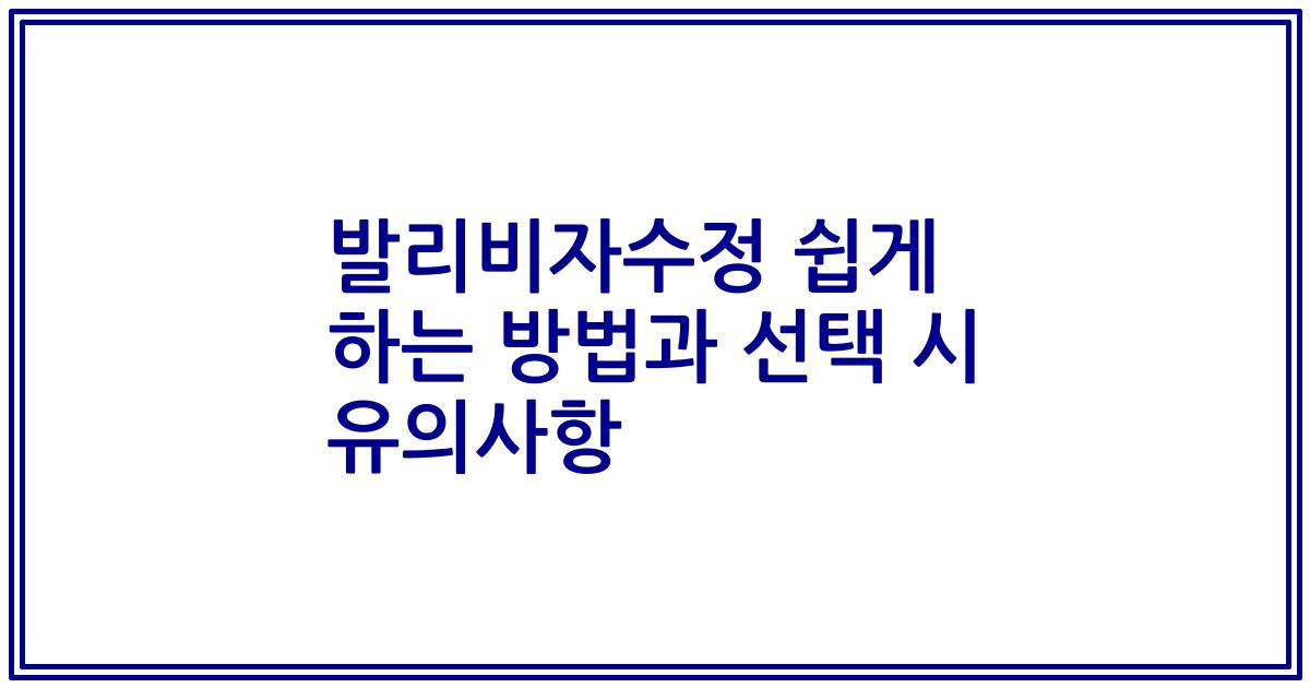 발리비자수정 쉽게 하는 방법과 선택 시 유의사항