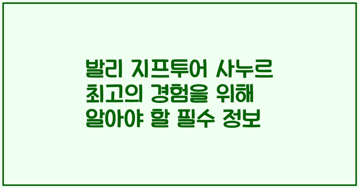 발리 지프투어 사누르 최고의 경험을 위해 알아야 할 필수 정보